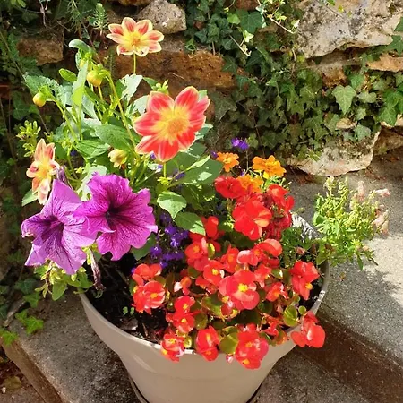 Ferienhaus La Maison Dans La Brie Saint-Augustin (Seine-et-Marne)